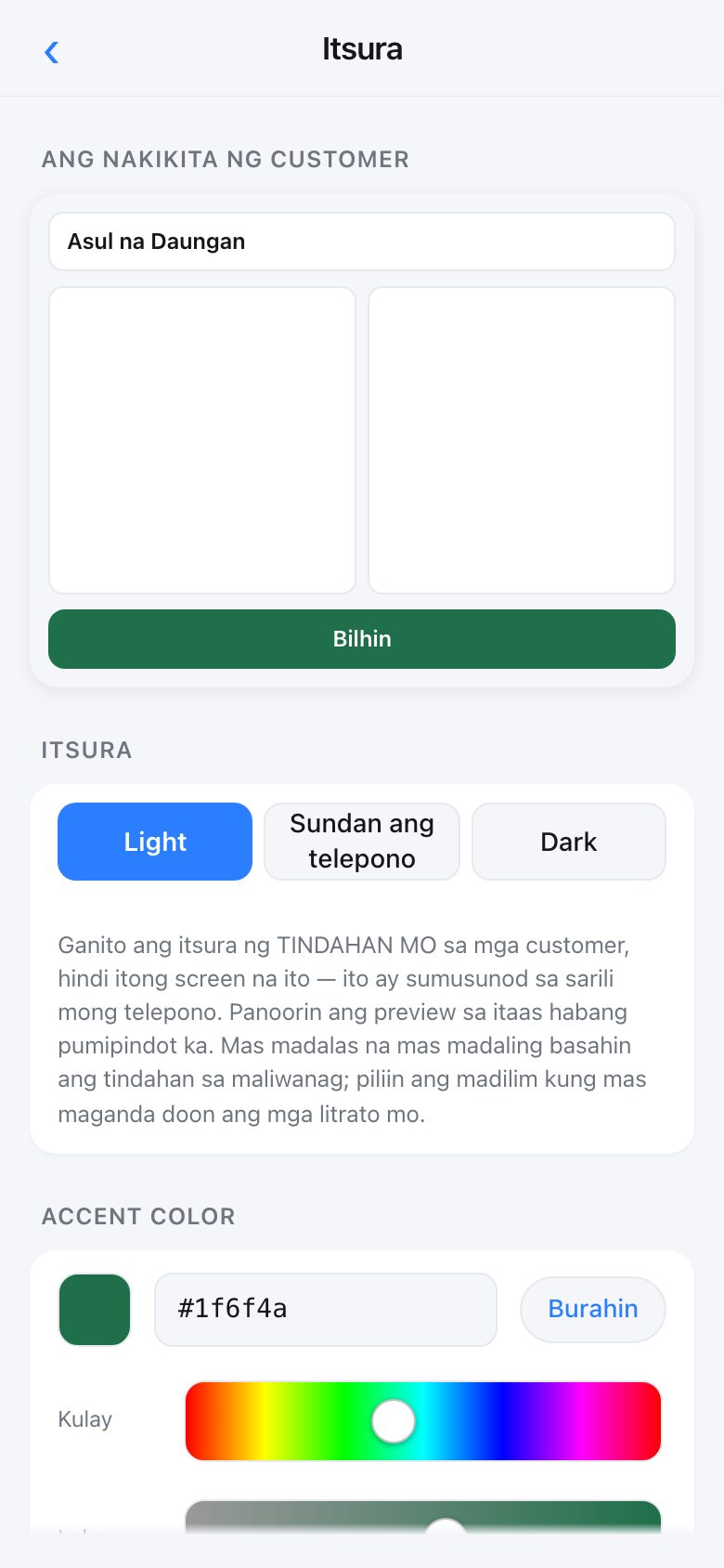 The Look screen with a live preview, light and dark options, a colour picker and a logo upload