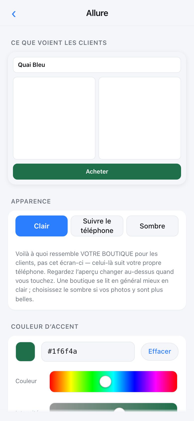 The Look screen with a live preview, light and dark options, a colour picker and a logo upload