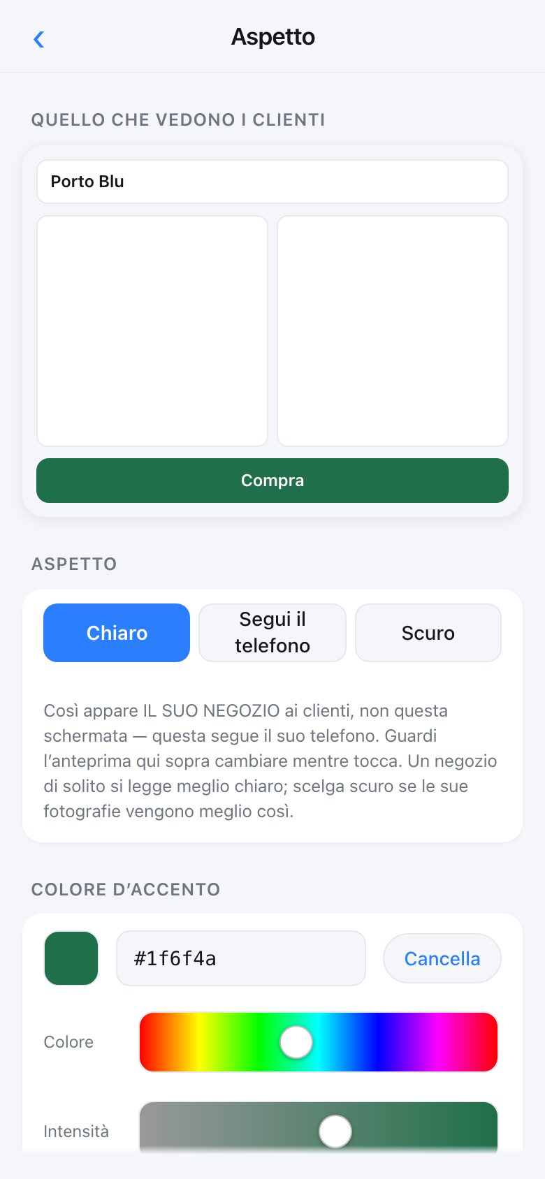 The Look screen with a live preview, light and dark options, a colour picker and a logo upload
